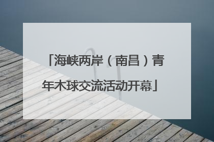 海峡两岸（南昌）青年木球交流活动开幕