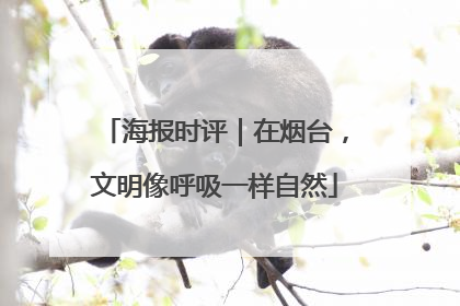 海报时评｜在烟台，文明像呼吸一样自然