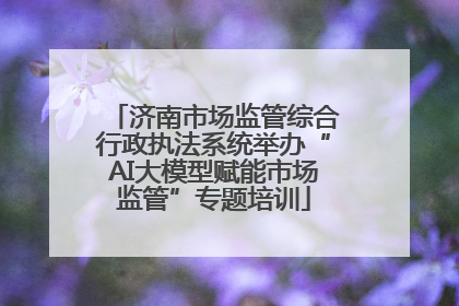 济南市场监管综合行政执法系统举办“AI大模型赋能市场监管”专题培训