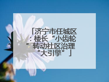 济宁市任城区：楼长“小齿轮”转动社区治理“大引擎”