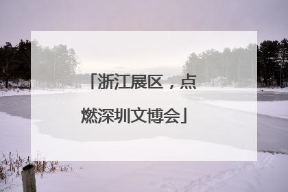 浙江展区，点燃深圳文博会