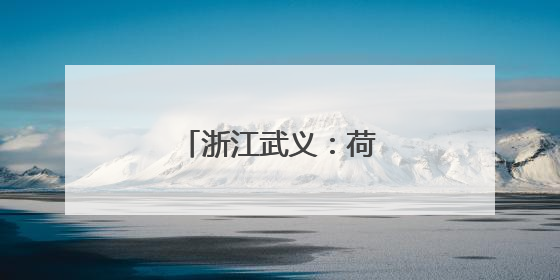 浙江武义：荷花产业助致富