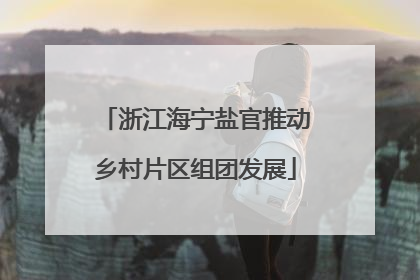 浙江海宁盐官推动乡村片区组团发展