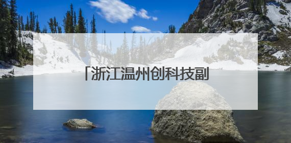 浙江温州创科技副总引才新机制 塑民企发展新优势