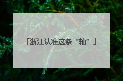 浙江认准这条“轴”