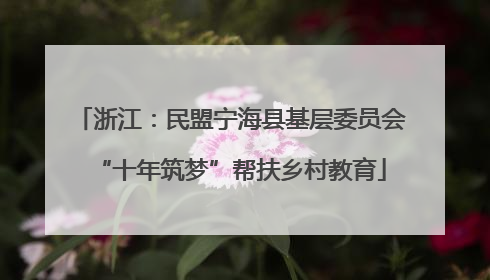 浙江：民盟宁海县基层委员会“十年筑梦”帮扶乡村教育