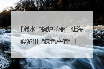 浠水“锅炉革命”让海鳗游出“绿色产值”