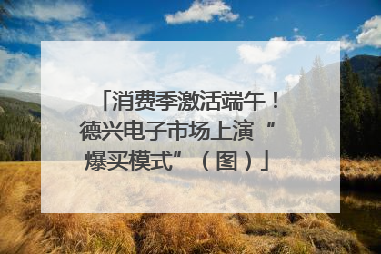 消费季激活端午！德兴电子市场上演“爆买模式”（图）