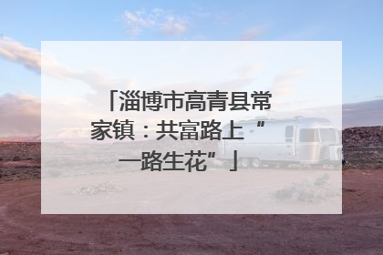 淄博市高青县常家镇：共富路上“一路生花”