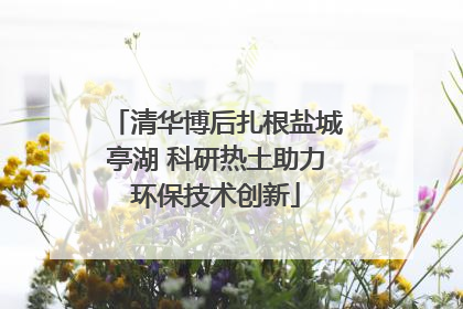 清华博后扎根盐城亭湖 科研热土助力环保技术创新