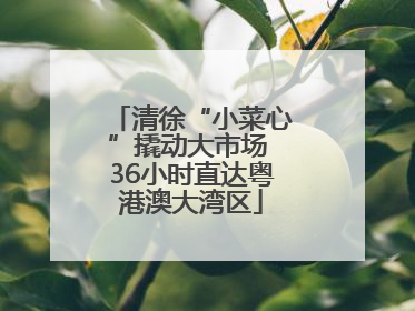 清徐“小菜心”撬动大市场 36小时直达粤港澳大湾区
