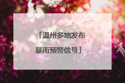 温州多地发布暴雨预警信号