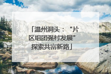 温州洞头：“片区组团强村发展”探索共富新路