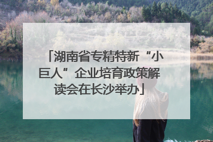 湖南省专精特新“小巨人”企业培育政策解读会在长沙举办