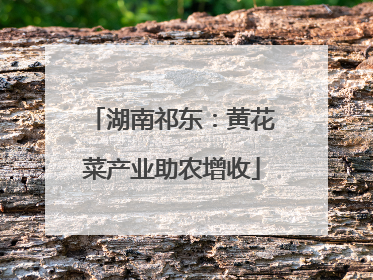 湖南祁东：黄花菜产业助农增收