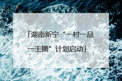 湖南新宁“一村一品一主播”计划启动