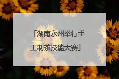 湖南永州举行手工制茶技能大赛