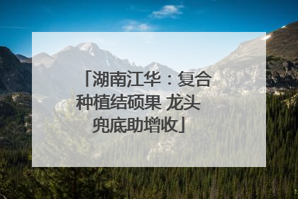 湖南江华：复合种植结硕果 龙头兜底助增收