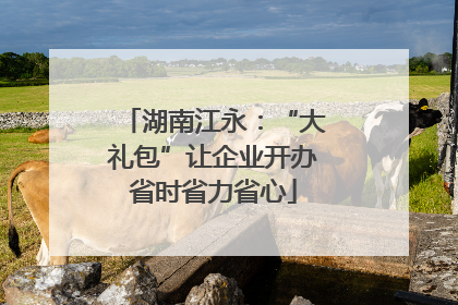湖南江永：“大礼包”让企业开办省时省力省心