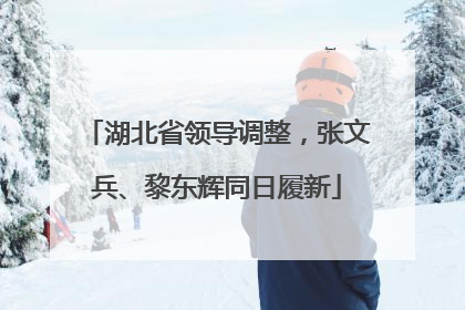 湖北省领导调整，张文兵、黎东辉同日履新