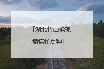 湖北竹山抢抓墒情忙夏种