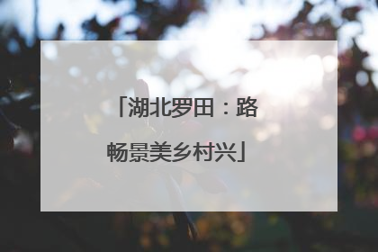 湖北罗田：路畅景美乡村兴