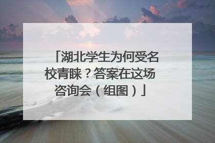 湖北学生为何受名校青睐？答案在这场咨询会（组图）