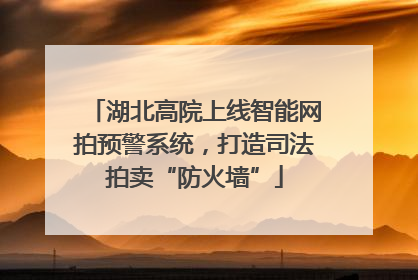 湖北高院上线智能网拍预警系统，打造司法拍卖“防火墙”