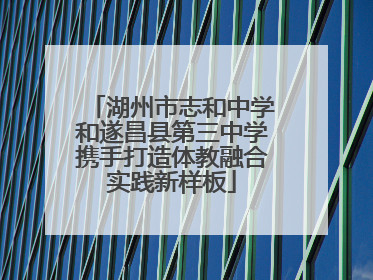 湖州市志和中学和遂昌县第三中学携手打造体教融合实践新样板