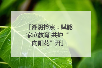 湘阴检察：赋能家庭教育 共护“向阳花”开