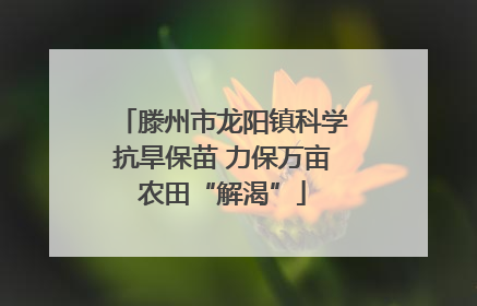 滕州市龙阳镇科学抗旱保苗 力保万亩农田“解渴”