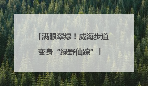 满眼翠绿！威海步道变身“绿野仙踪”