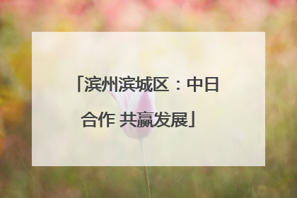 滨州滨城区：中日合作 共赢发展