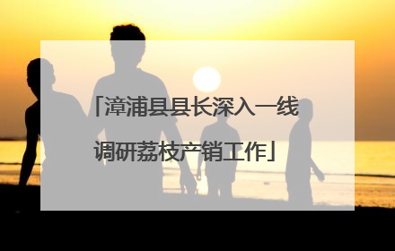 漳浦县县长深入一线调研荔枝产销工作
