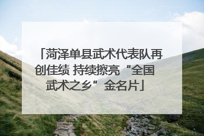 菏泽单县武术代表队再创佳绩 持续擦亮“全国武术之乡”金名片