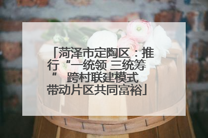 菏泽市定陶区：推行“一统领 三统筹” 跨村联建模式 带动片区共同富裕