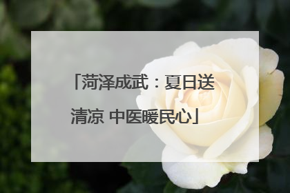 菏泽成武：夏日送清凉 中医暖民心