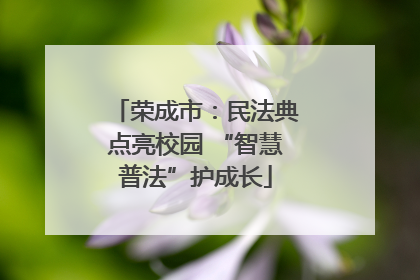 荣成市：民法典点亮校园 “智慧普法”护成长