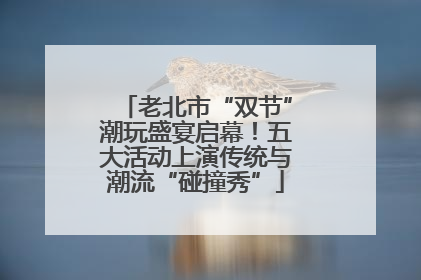 老北市“双节”潮玩盛宴启幕！五大活动上演传统与潮流“碰撞秀”