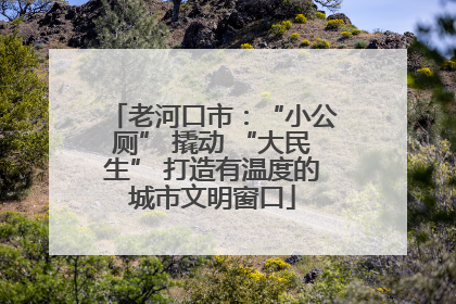 老河口市：“小公厕” 撬动 “大民生” 打造有温度的城市文明窗口