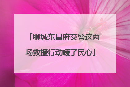 聊城东昌府交警这两场救援行动暖了民心