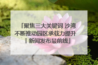 聚焦三大关键词 沙湾不断推动园区承载力提升丨新闻发布最前线