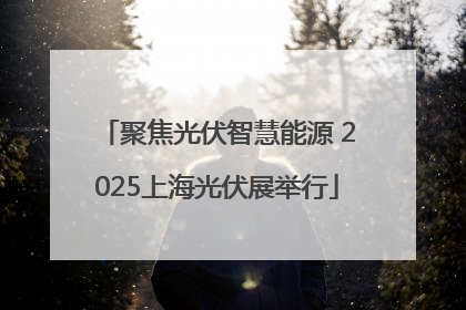 聚焦光伏智慧能源 2025上海光伏展举行