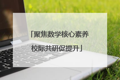 聚焦数学核心素养 校际共研促提升