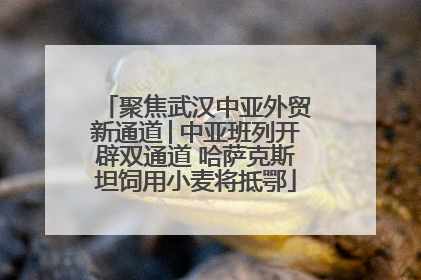 聚焦武汉中亚外贸新通道│中亚班列开辟双通道 哈萨克斯坦饲用小麦将抵鄂