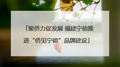 聚侨力促发展 福建宁德推进“侨见宁德”品牌建设