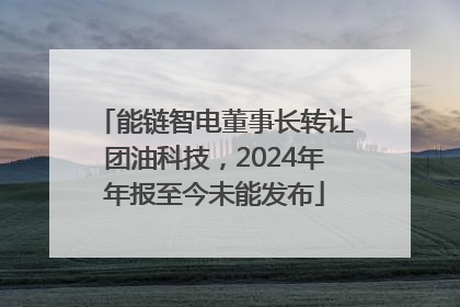 能链智电董事长转让团油科技，2024年年报至今未能发布