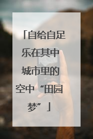 自给自足 乐在其中 城市里的空中“田园梦”