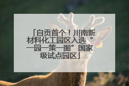 自贡首个！川南新材料化工园区入选“一园一策一图”国家级试点园区
