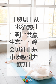 舆见丨从“投资热土”到“共赢生态”：峰会见证山东市场吸引力跃升